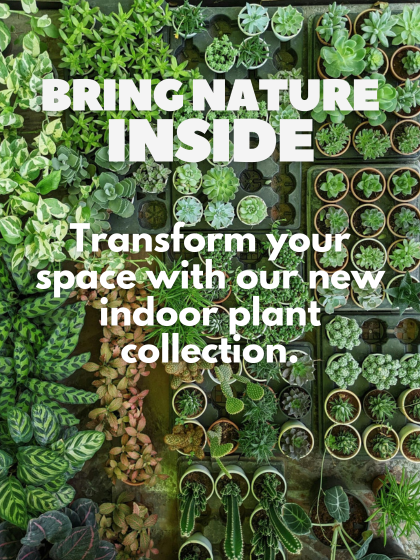 Mega Menu Image1000647